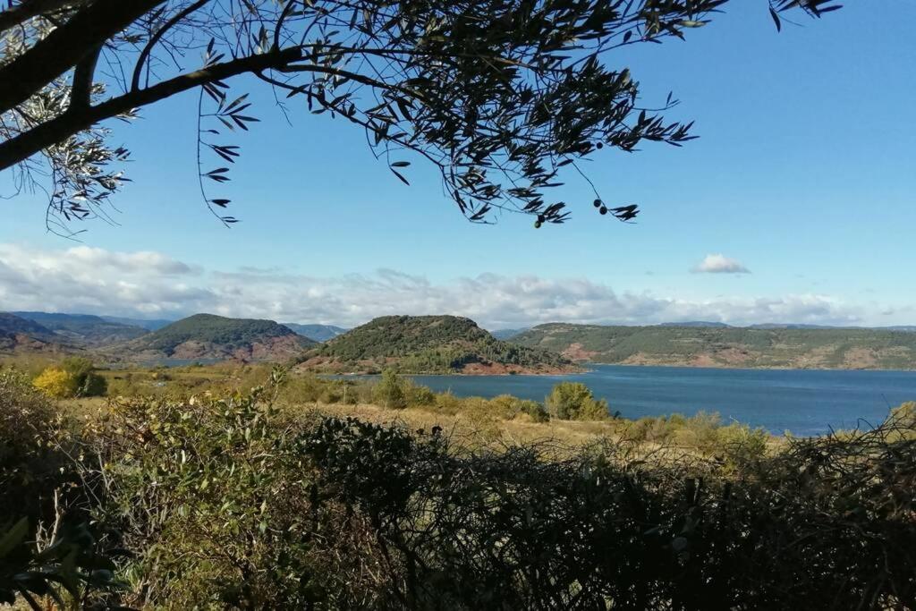 Studio 32M2 - Dans Propriete Avec Vue Imprenable Sur Le Lac Du Salagou Liausson Bagian luar foto
