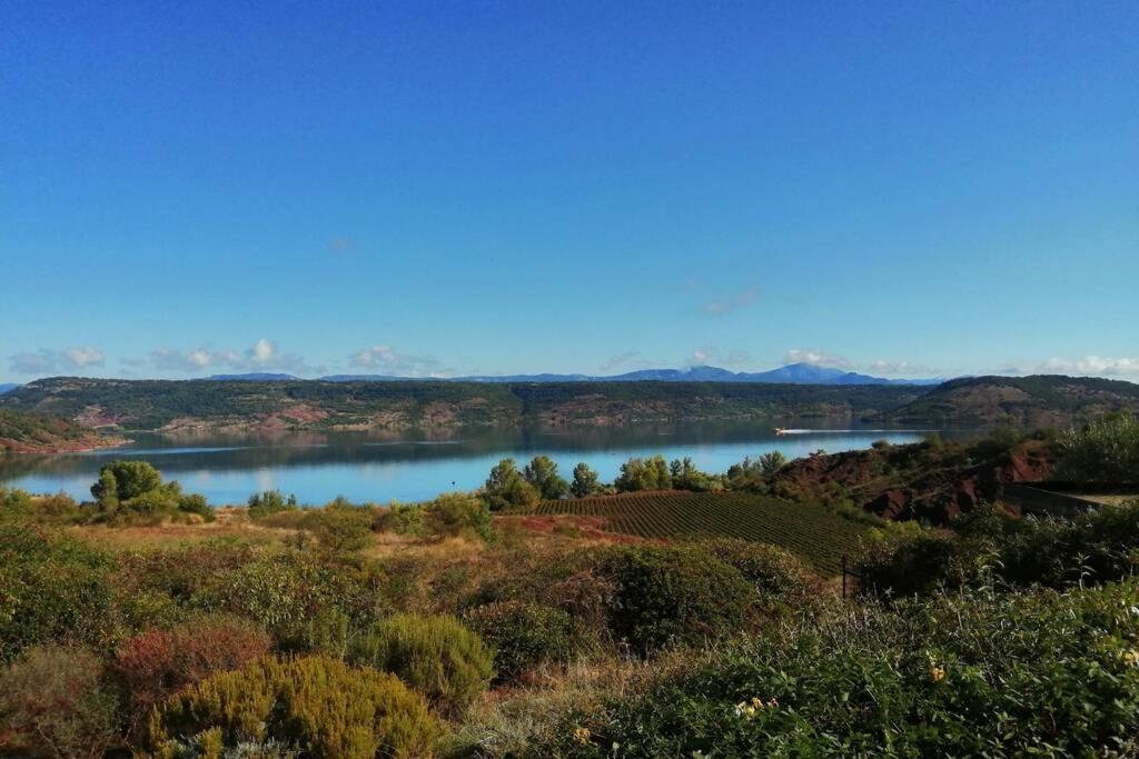 Studio 32M2 - Dans Propriete Avec Vue Imprenable Sur Le Lac Du Salagou Liausson Bagian luar foto