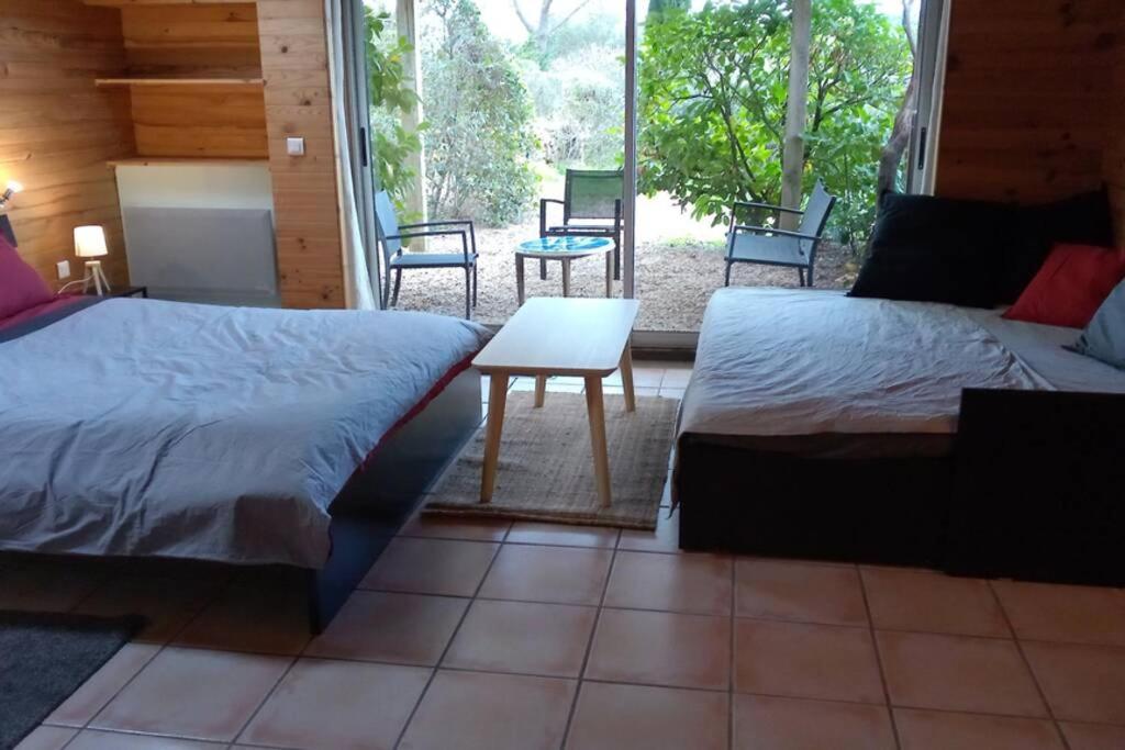 Studio 32M2 - Dans Propriete Avec Vue Imprenable Sur Le Lac Du Salagou Liausson Bagian luar foto